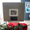 ZCI X-Mas 2011